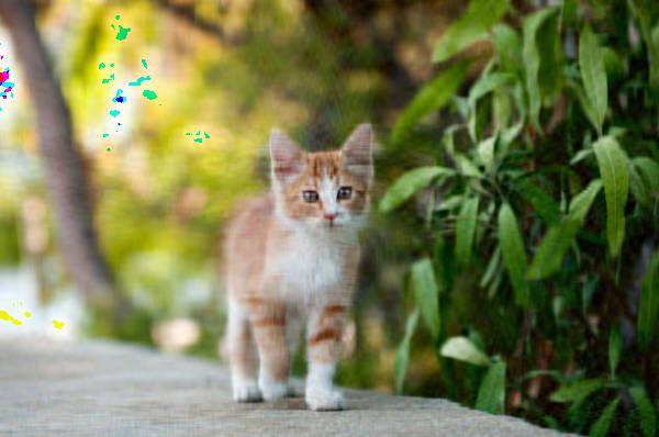 Image Compression with Principal Component Analysis